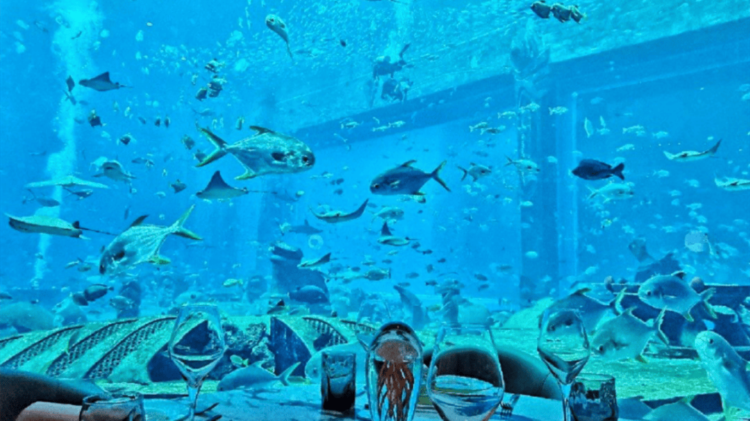 之道:72个情绪价值营造标杆案例CQ9电子app旅游餐饮场景破局(图27) 之道:72个情绪价值营造标杆案例CQ9电子app旅游餐饮场景破局(图27)